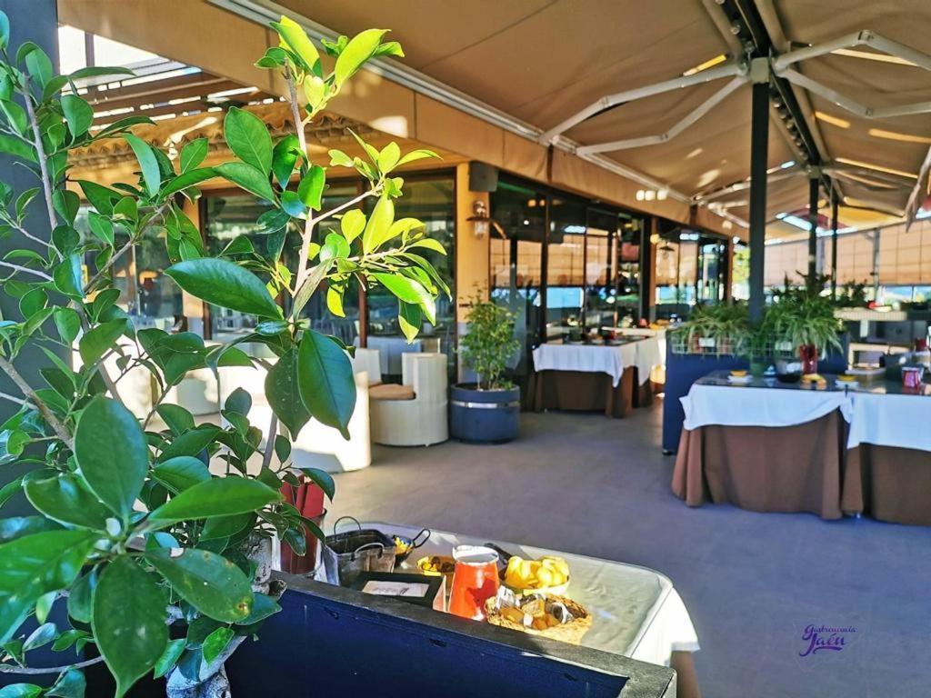 Hotel Campos De Baeza Exterior photo